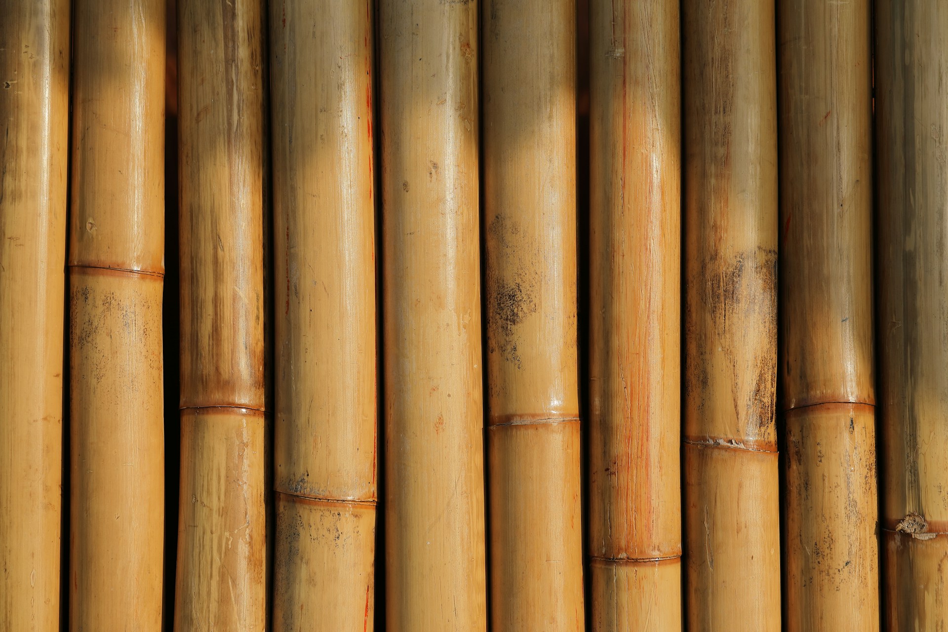 Why Your Router Screams in Bamboo Plywood