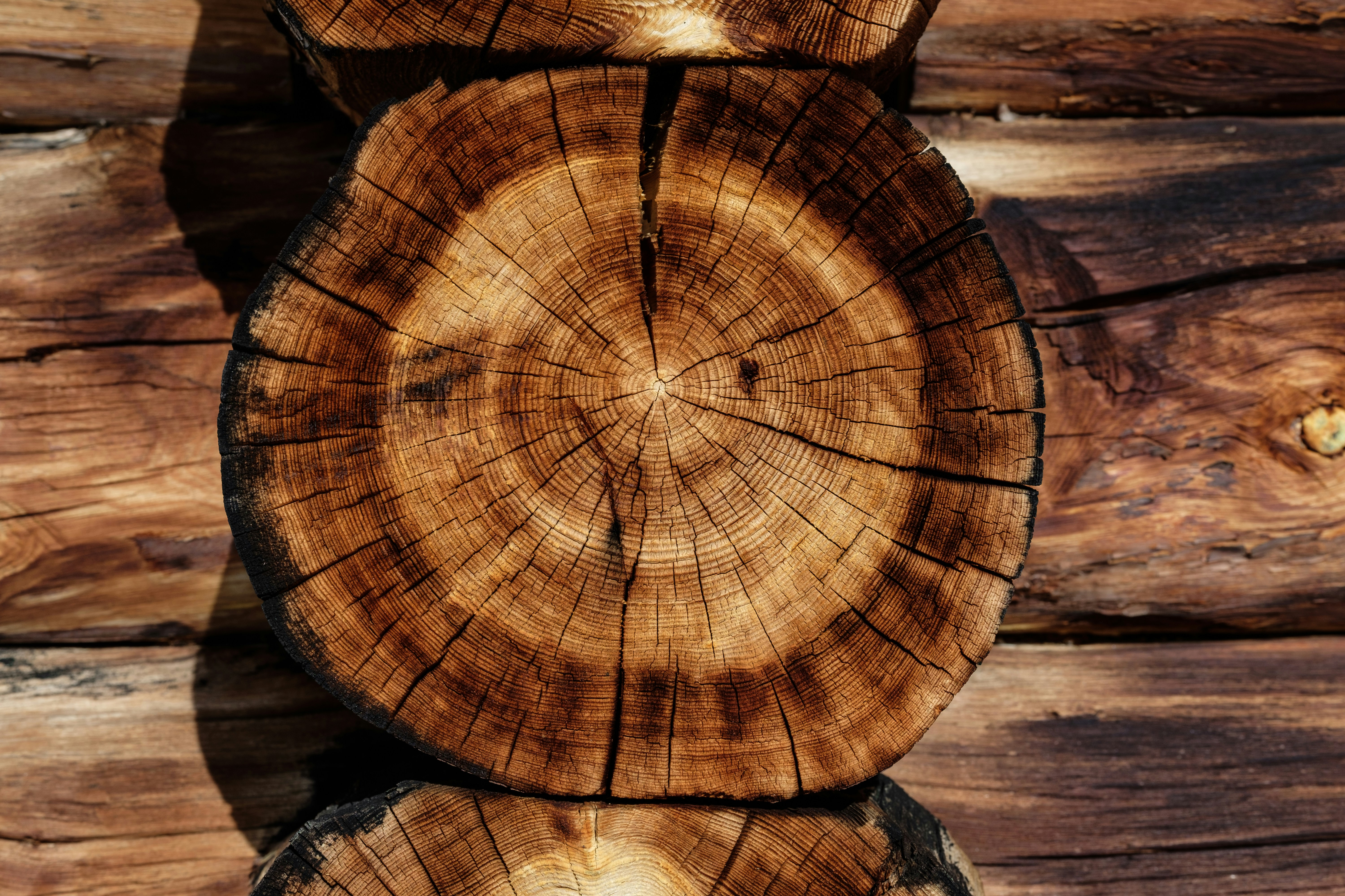Wood Species and Planing Characteristics