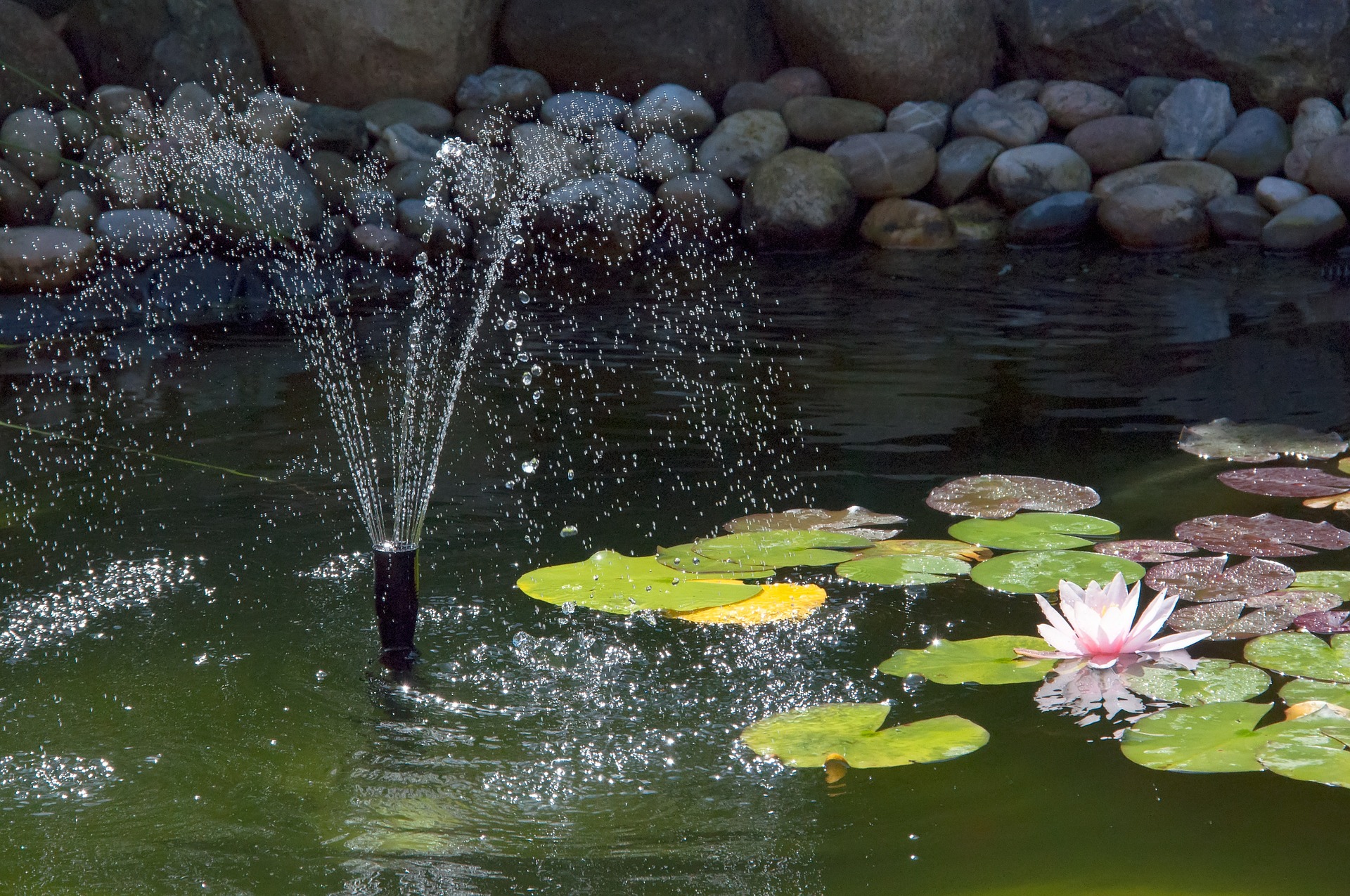 The Best Pond Fountain [May 2023] Toolshed Stuff